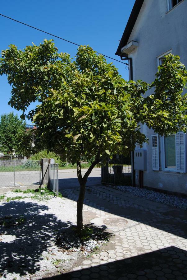 Apartment With Free Parking Ljubljana Exterior photo